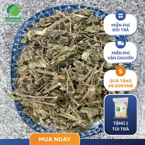Các bộ phận của cây cối xay có thể dùng làm dược liệu
