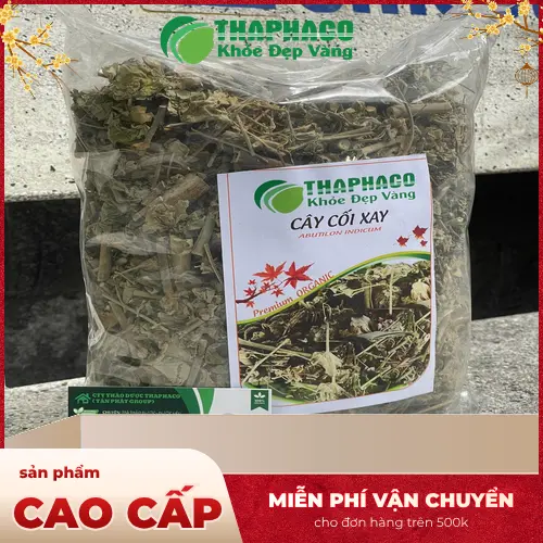 Công dụng hỗ trợ sức khỏe từ cây cối xay khô
