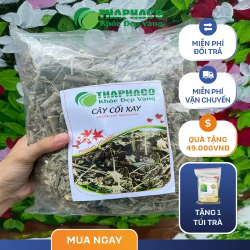 Quy trình sơ chế cây cối xay THAPHACO