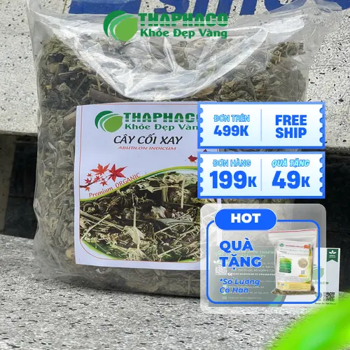 Địa chỉ mua cây cối xay khô uy tín tại THAPHACO TP.HCM