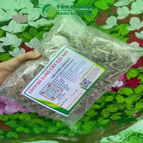 Chuyên gia tư vấn về cây cối xay