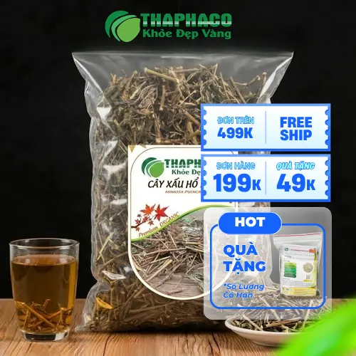 Đặc điểm nhận dạng của cây xấu hổ (cây trinh nữ)