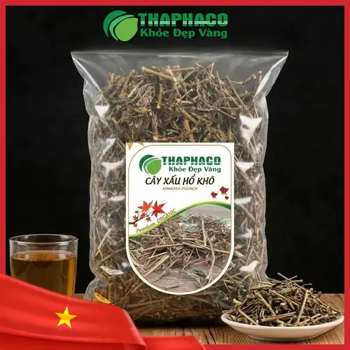 Hình ảnh cây xấu hổ trong tự nhiên