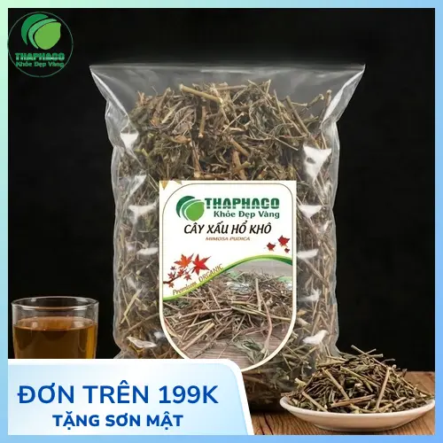 Cây Xấu Hổ với lá cụp lại khi bị chạm vào