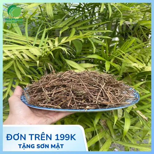 Hình ảnh các thành phần hóa học có trong cây xấu hổ