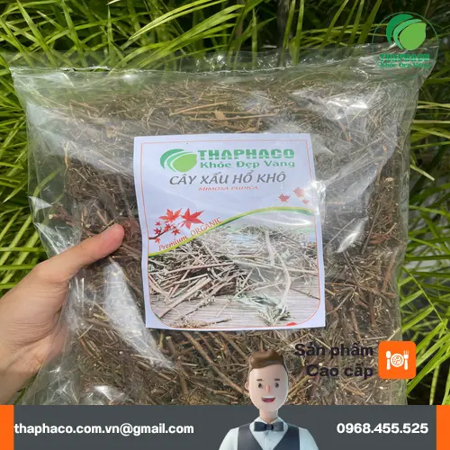 Người lái xe cần thận trọng khi dùng cây xấu hổ
