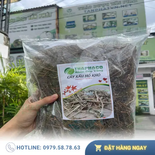 Lá và hoa cây xấu hổ tươi tự nhiên