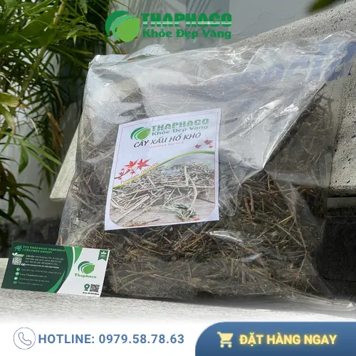 Một người phụ nữ lớn tuổi đang chuẩn bị cây xấu hổ khô để sắc nước uống