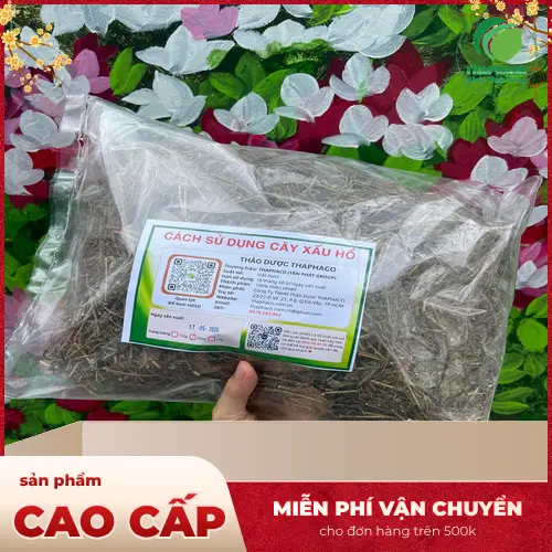 Cây Xấu Hổ đang ra hoa với màu tím nhạt