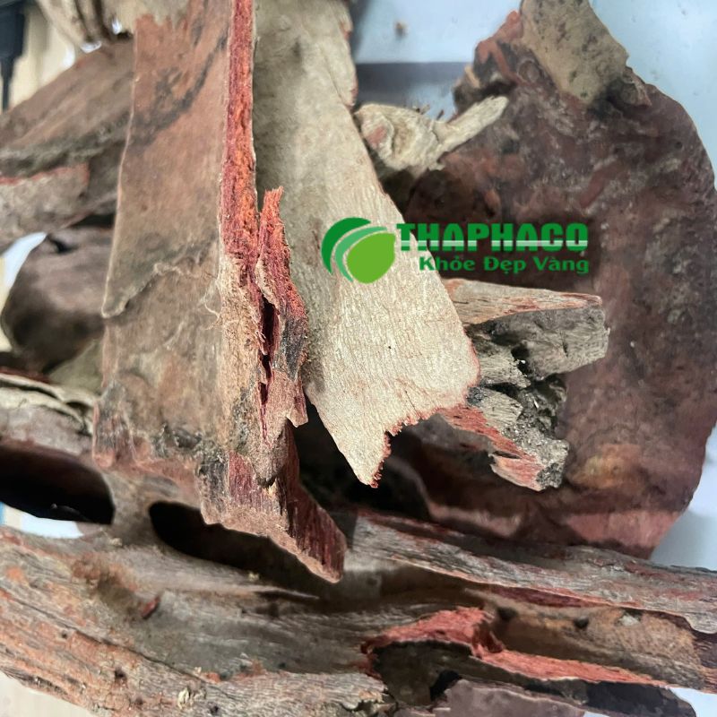 Thaphaco đồng hành cùng bạn bảo vệ sức khỏe trái tim từ dược liệu Sạch, Nguyên chất