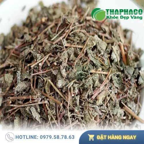 Phấn chè dây tự nhiên trên chè dây khô chất lượng