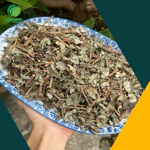 Chè dây khô bị mốc có màu sắc và cấu trúc bất thường