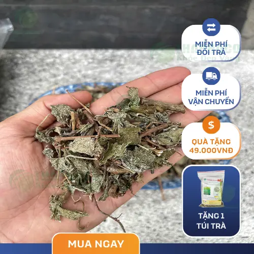 Lưu ý quan trọng khi sử dụng chè dây khô