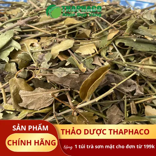 Lá chè vằng khô THAPHACO hỗ trợ lợi sữa