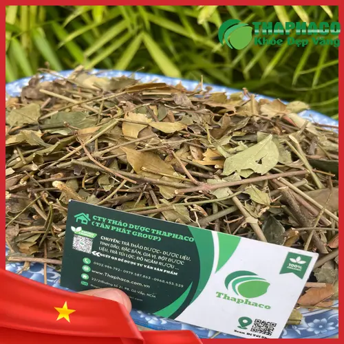 Liên hệ THAPHACO để mua sỉ Chè Vằng khô