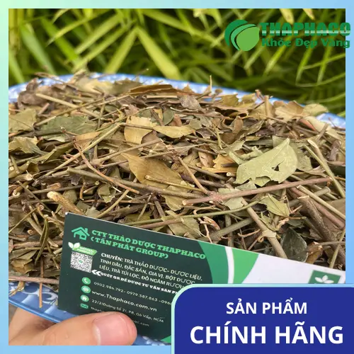 Lưu ý khi dùng chè vằng cho phụ nữ sau sinh