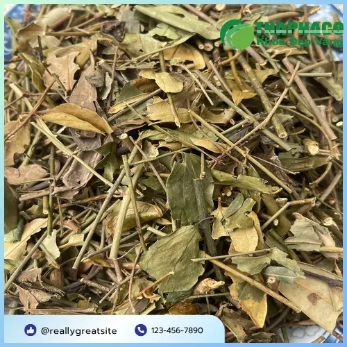 Địa chỉ mua Chè Vằng Khô THAPHACO uy tín tại TP.HCM