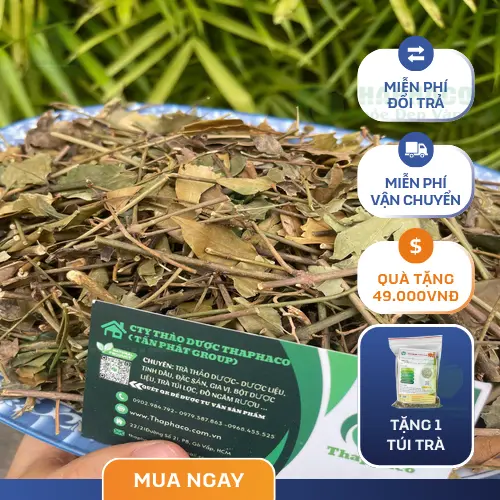 Lưu ý khi sử dụng Chè Vằng khô