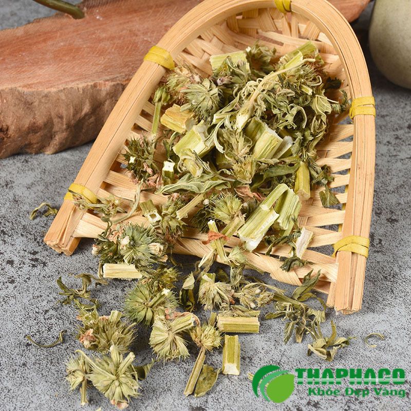 Thaphaco Đồng Hành Cùng Sức Khỏe Cộng Đồng Bằng Dược Liệu Sạch, Nguyên Chất