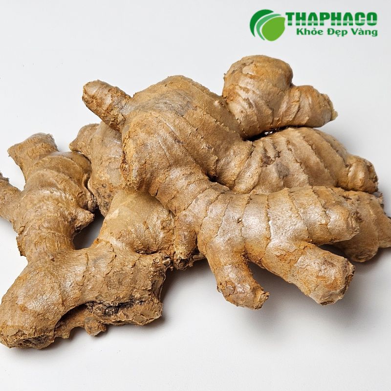 Một số dược liệu có thể tương tác với thuốc tây, làm tăng hoặc giảm tác dụng của thuốc