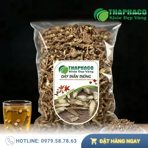 Dây thần thông tươi và đặc điểm nhận dạng
