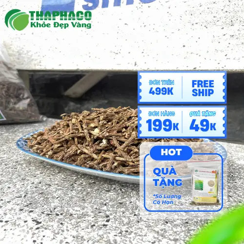 Kiểm tra định kỳ để phát hiện sớm dấu hiệu ẩm mốc trên Dây Thần Thông khô