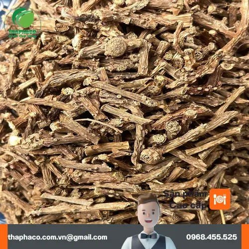 Dây Thần Thông Khô chất lượng cao với mức giá tốt nhất tại THAPHACO
