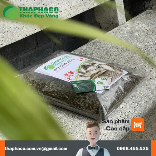 Hình ảnh các lọ thuốc tây và thảo dược, thể hiện sự tương tác