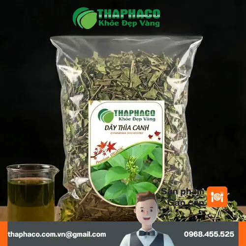 Dây thìa canh khô đúng liều lượng