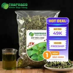 Dây Thìa Canh Sấy Khô Giá Tốt Nhất TP.HCM Tại THAPHACO