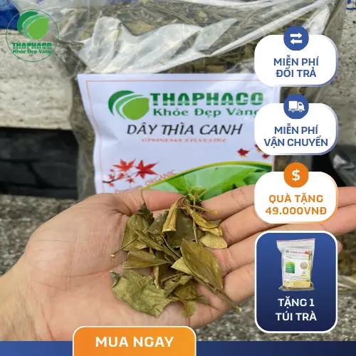 Dây Thìa Canh hỗ trợ ổn định đường huyết
