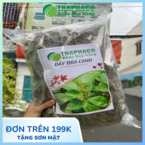 Công dụng hỗ trợ sức khỏe của Dây Thìa Canh THAPHACO