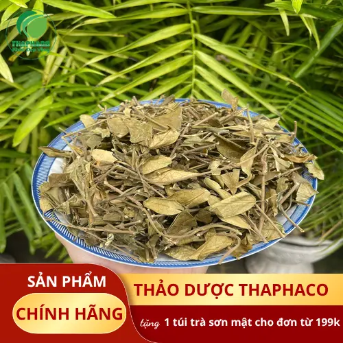 Trà dây thìa canh uống trước bữa ăn
