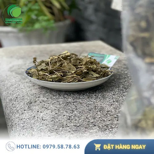 Cách pha trà Dây Thìa Canh sấy khô đúng chuẩn