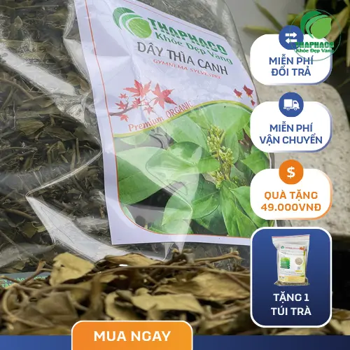 Dây thìa canh không thay thế thuốc tây