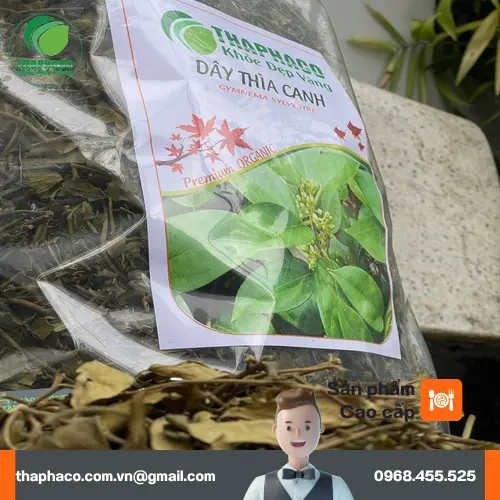Lưu ý khi dùng Dây Thìa Canh