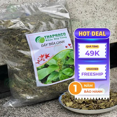Mua Dây Thìa Canh chất lượng tại THAPHACO