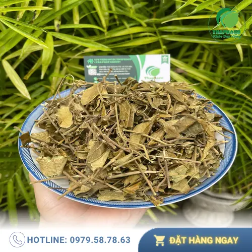 Địa chỉ mua Dây Thìa Canh THAPHACO uy tín tại TP.HCM