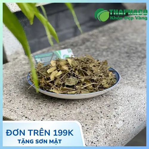 Theo dõi đường huyết khi dùng dây thìa canh