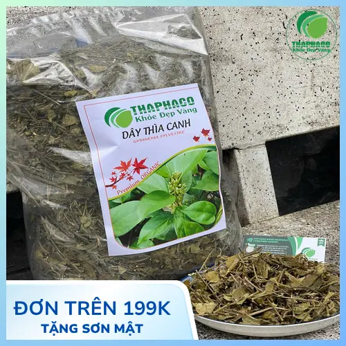 Giải đáp các câu hỏi thường gặp về Dây Thìa Canh THAPHACO