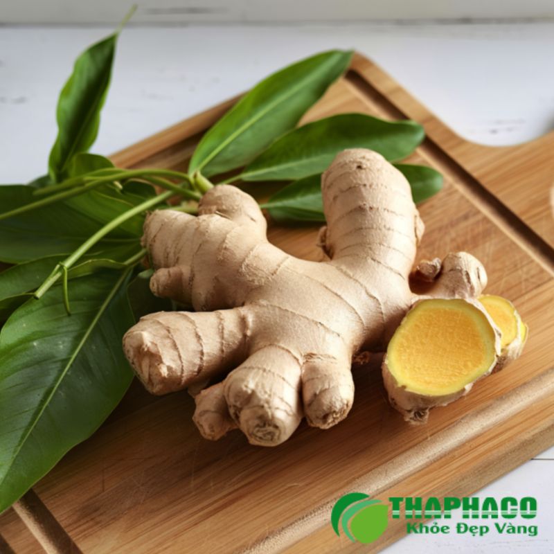 Dược liệu chỉ mang tính hỗ trợ, không thay thế thuốc chữa bệnh dính ruột