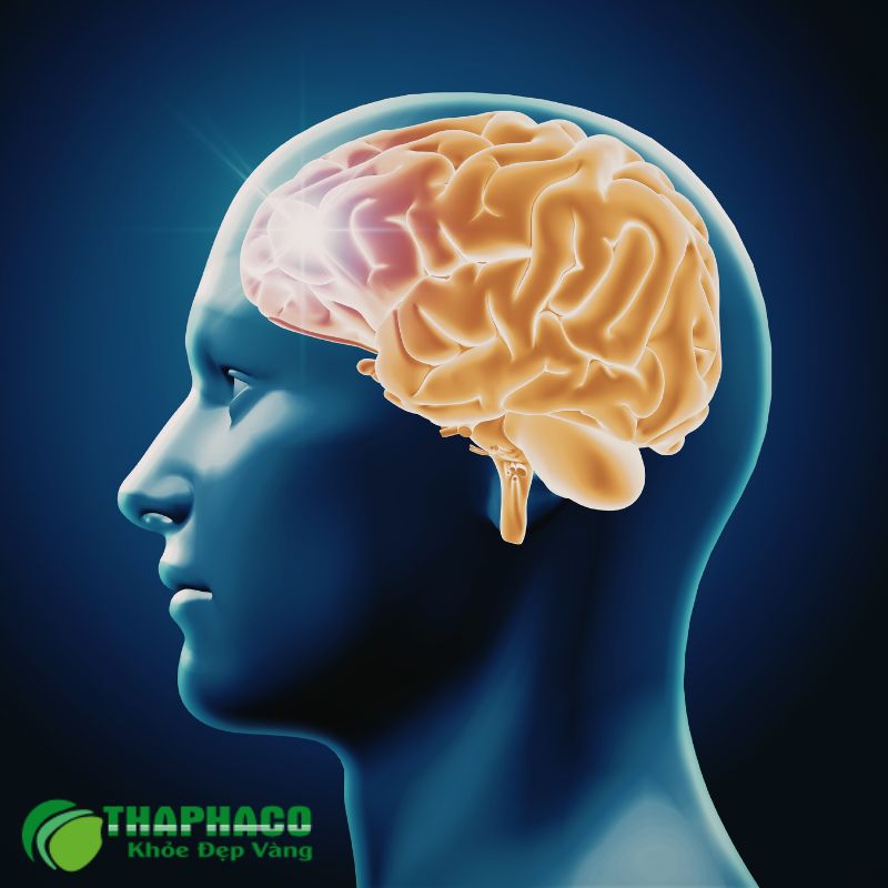 đột quỵ não là gì