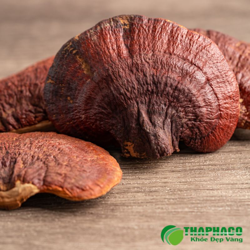Dược liệu Thaphaco hỗ trợ tăng cường sức khỏe tổng thể, tuần hoàn máu, giảm nguy cơ đột quỵ