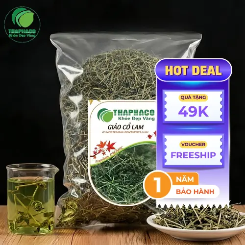 Hình ảnh minh họa trà giảo cổ lam giúp ổn định đường huyết