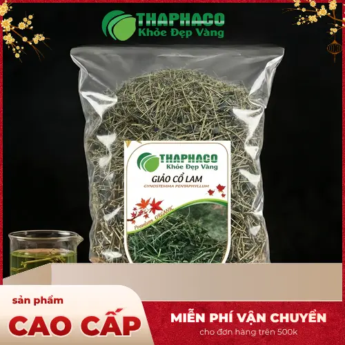 Giảo cổ lam khô chất lượng tại THAPHACO