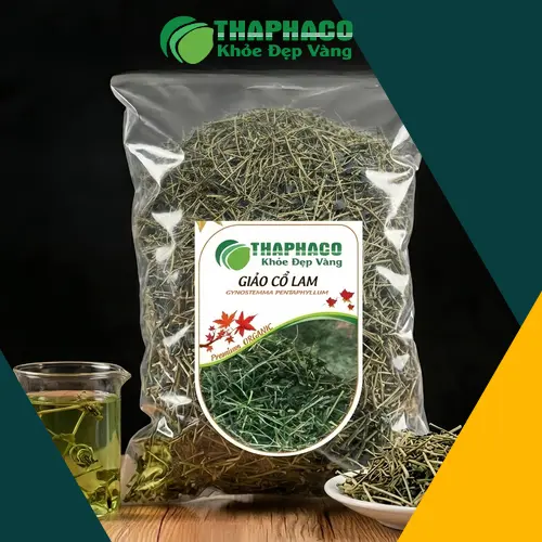 Giảo Cổ Lam - Thảo dược quý từ thiên nhiên