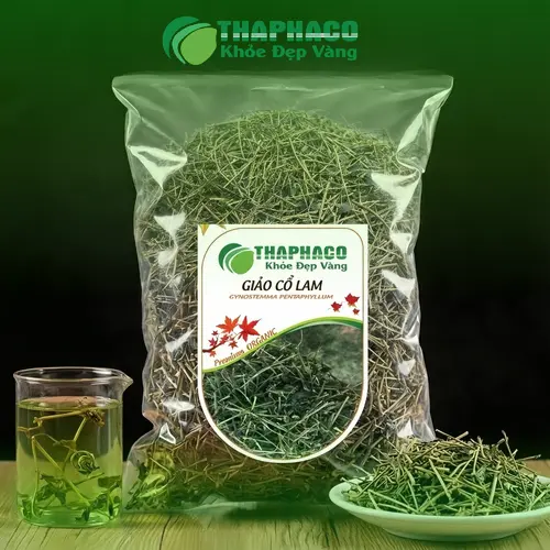 Giảo Cổ Lam tươi và khô