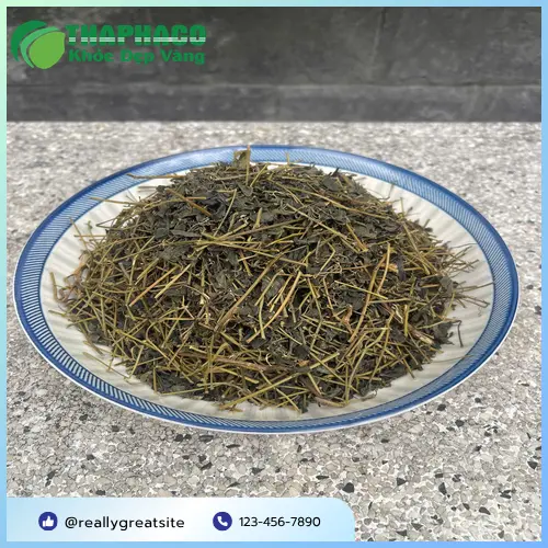 Hình ảnh cây giảo cổ lam tươi