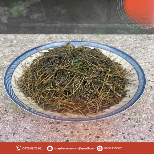 Cách dùng Giảo Cổ Lam Khô THAPHACO