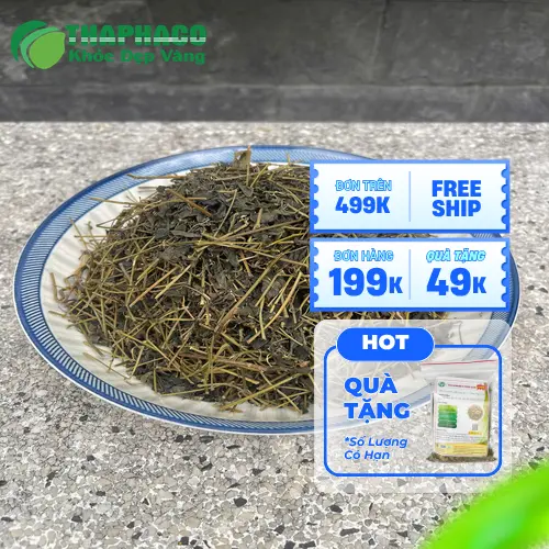 Cách pha trà giảo cổ lam tại nhà